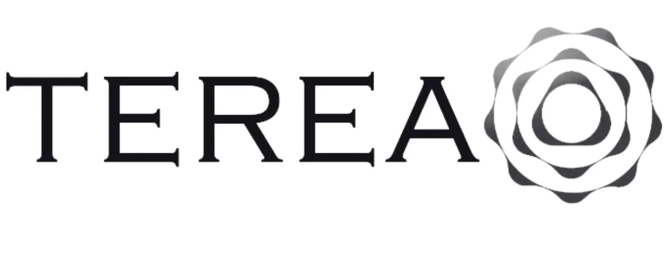 terea vape market UAE